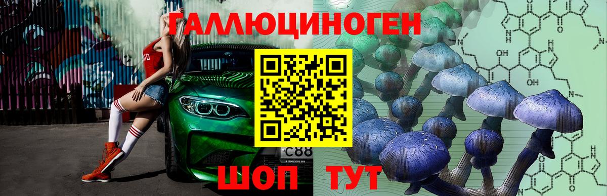 Галлюциногенные грибы Psilocybine cubensis  Псилоцибиновые грибы Psilocybe  Вход с VPN  Белогорск 